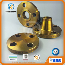 Hot Sale ASME B16.5 Carbon Steel Blind Flange with TUV (KT0016)